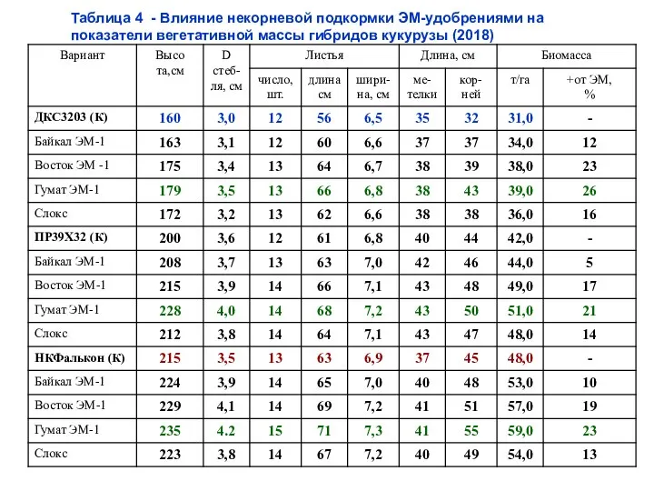 Таблица 4 - Влияние некорневой подкормки ЭМ-удобрениями на показатели вегетативной массы гибридов кукурузы (2018)