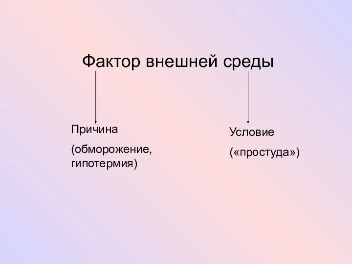 Фактор внешней среды Причина (обморожение, гипотермия) Условие («простуда»)