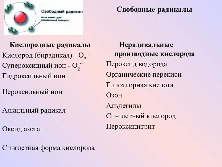 Свободные радикалы Кислородные радикалы Кислород (бирадикал) - О2∙∙ Супероксидный ион -