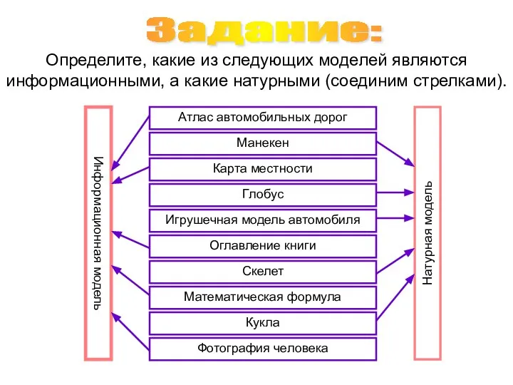 Задание: Определите, какие из следующих моделей являются информационными, а какие натурными