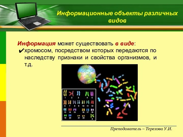 Преподаватель – Терехова У.И. Информационные объекты различных видов Информация может существовать