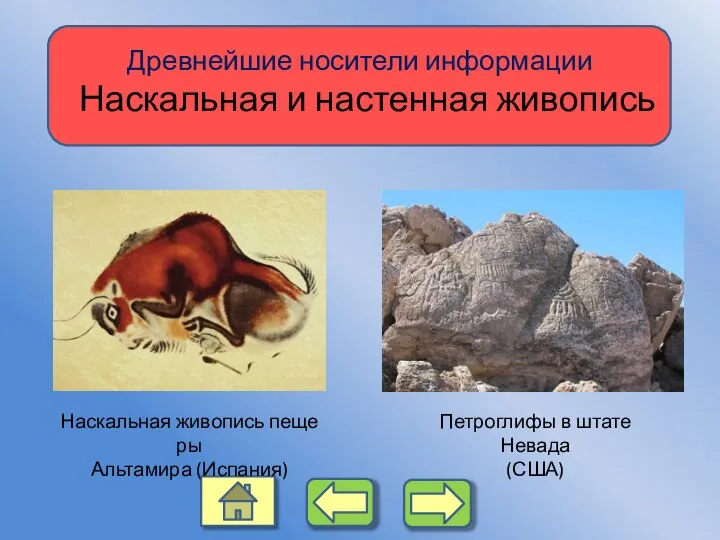 Древнейшие носители информации Наскальная и настенная живопись Наскальная живопись пещеры Альтамира
