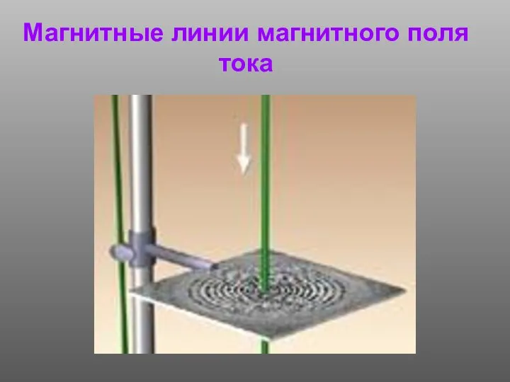 Магнитные линии магнитного поля тока