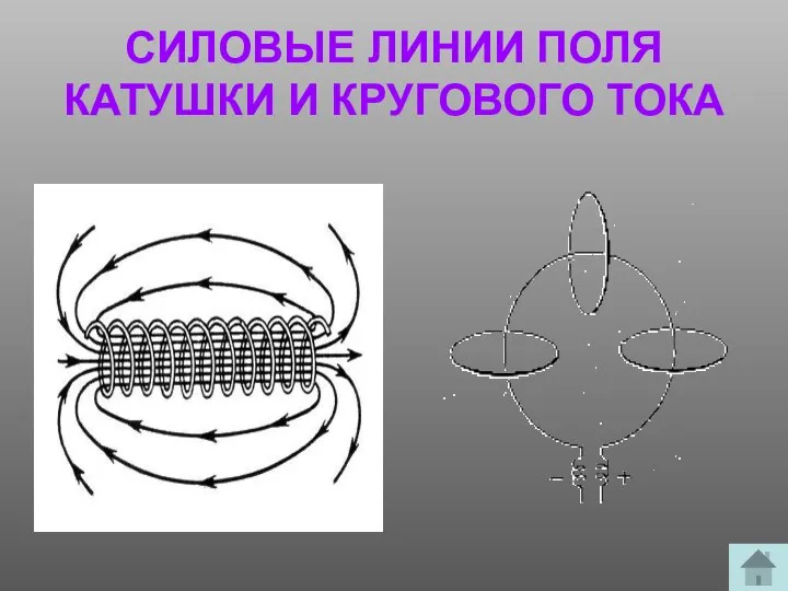 СИЛОВЫЕ ЛИНИИ ПОЛЯ КАТУШКИ И КРУГОВОГО ТОКА