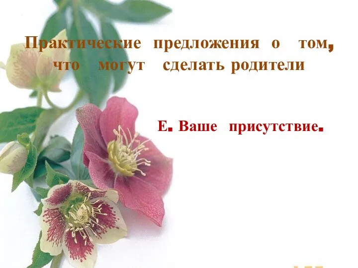 Практические предложения о том, что могут сделать родители Е. Ваше присутствие.