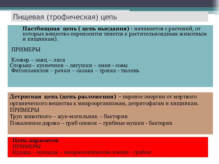 Пищевая (трофическая) цепь Цепь паразитов ПРИМЕРЫ Курица – пухоеды – микроскопические