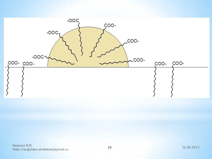 12.02.2013 Нижник Я.П. http://norgchem.professorjournal.ru