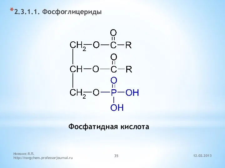 12.02.2013 Нижник Я.П. http://norgchem.professorjournal.ru 2.3.1.1. Фосфоглицериды Фосфатидная кислота