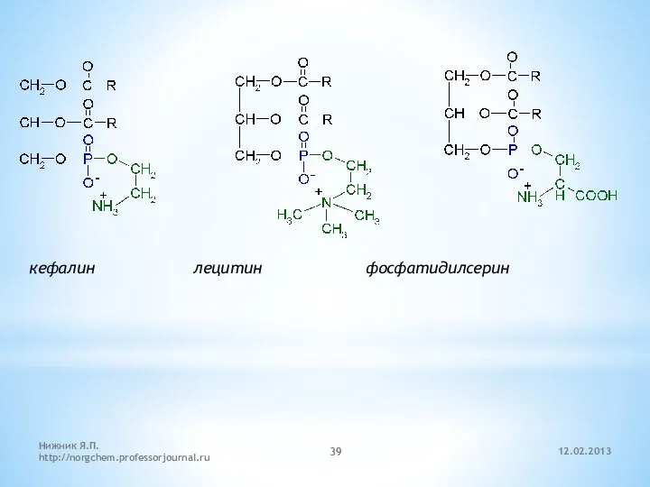 12.02.2013 Нижник Я.П. http://norgchem.professorjournal.ru кефалин лецитин фосфатидилсерин