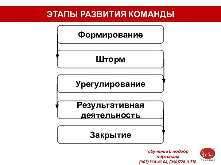 ЭТАПЫ РАЗВИТИЯ КОМАНДЫ Формирование Шторм Урегулирование Результативная деятельность Закрытие обучение и подбор персонала (067) 564-46-64, (096)778-0-776