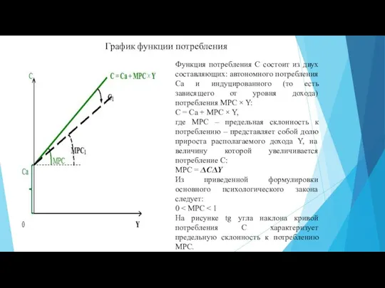 График функции потребления Функция потребления C состоит из двух составляющих: автономного