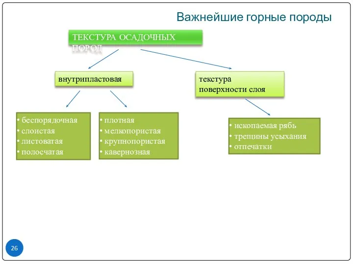 Важнейшие горные породы ТЕКСТУРА ОСАДОЧНЫХ ПОРОД внутрипластовая текстура поверхности слоя беспорядочная