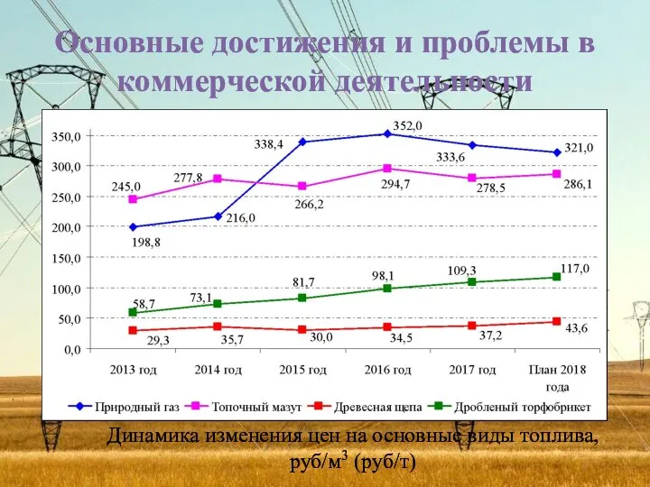 Основные достижения и проблемы в коммерческой деятельности Динамика изменения цен на основные виды топлива, руб/м3 (руб/т)