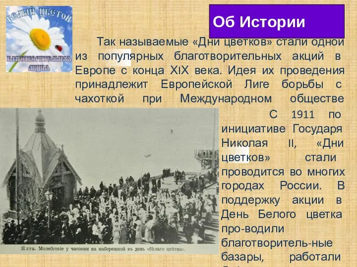 Так называемые «Дни цветков» стали одной из популярных благотворительных акций в