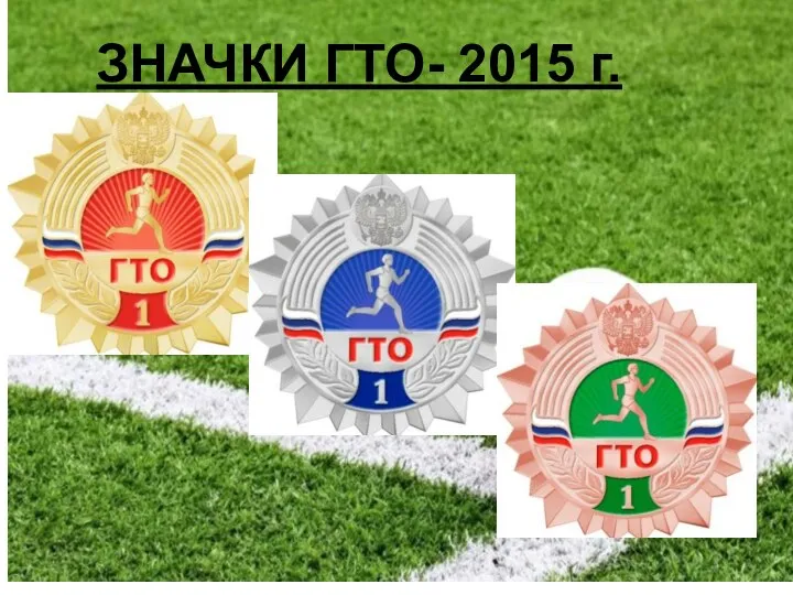 ЗНАЧКИ ГТО- 2015 г.