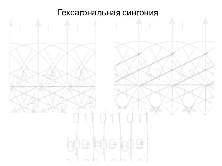 Гексагональная сингония