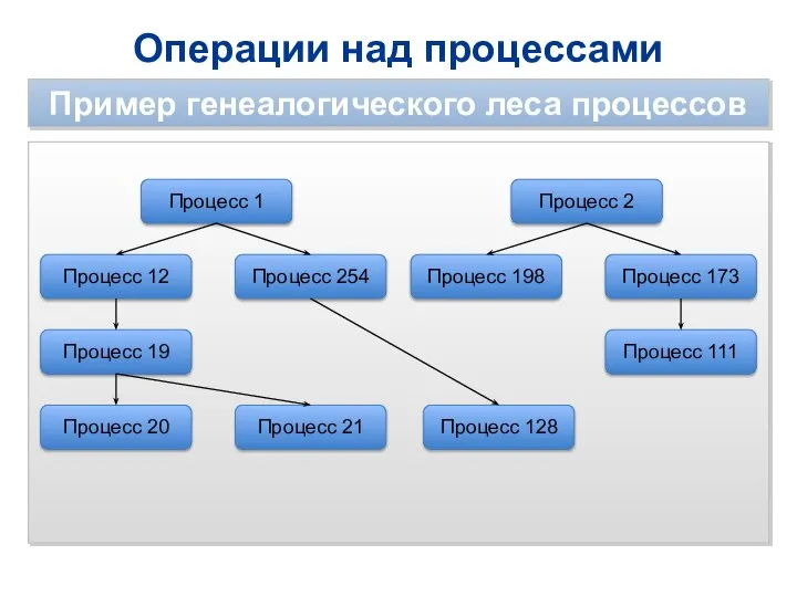 Операции над процессами Пример генеалогического леса процессов Процесс 1 Процесс 12