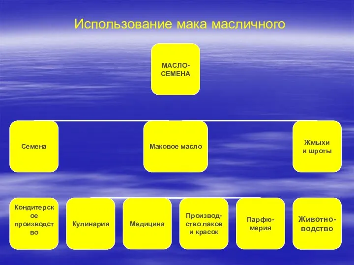 Использование мака масличного