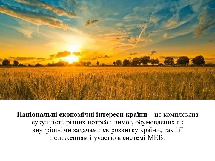 Національні економічні інтереси країни – це комплексна сукупність різних потреб і