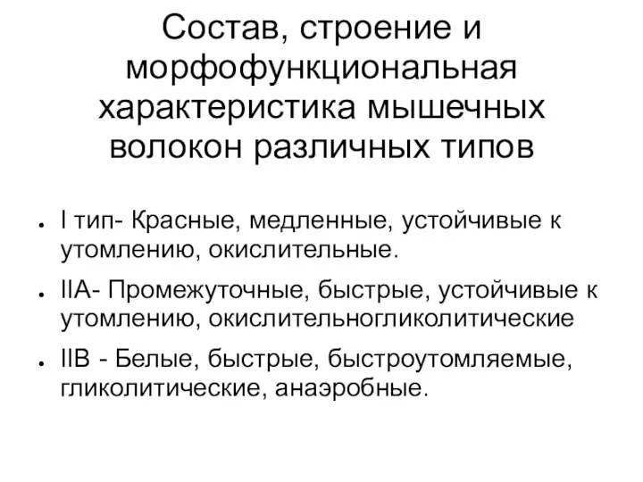 Состав, строение и морфофункциональная характеристика мышечных волокон различных типов I тип-