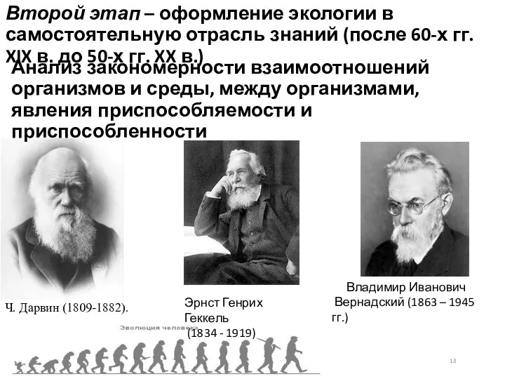 Второй этап – оформление экологии в самостоятельную отрасль знаний (после 60-х