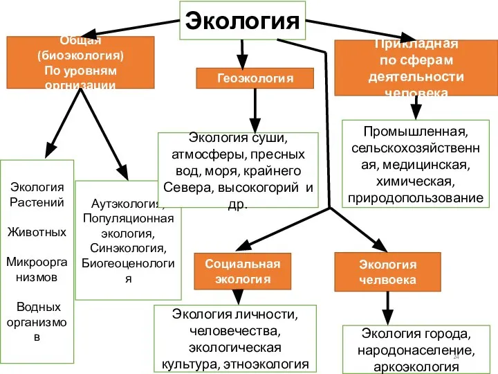 Экология Общая (биоэкология) По уровням оргнизации Экология Растений Животных Микроорганизмов Водных