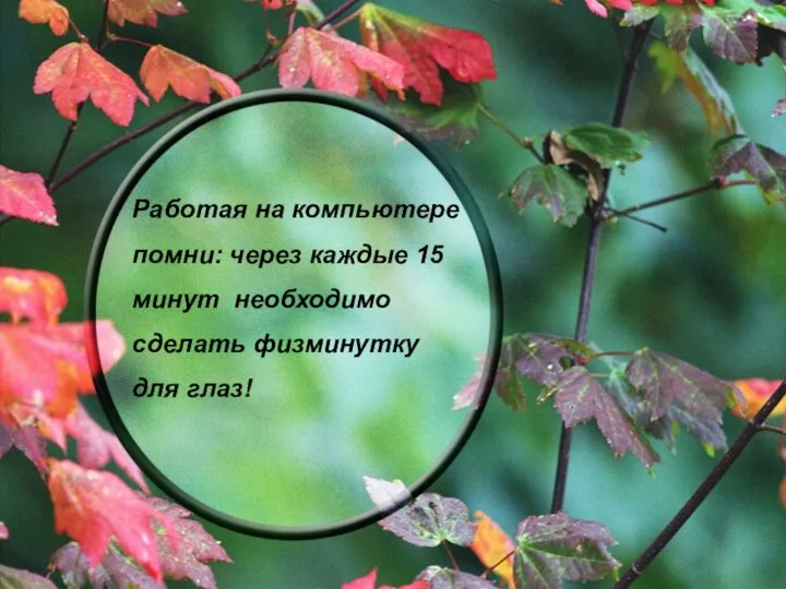 Работая на компьютере помни: через каждые 15 минут необходимо сделать физминутку для глаз!