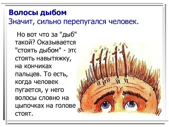 Волосы дыбом Значит, сильно перепугался человек. Но вот что за "дыб"