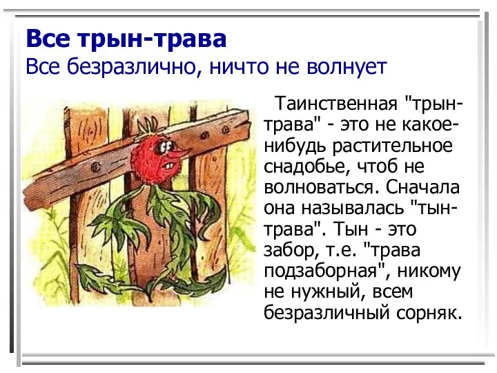 Все трын-трава Все безразлично, ничто не волнует Таинственная "трын-трава" - это