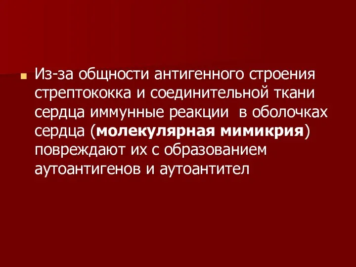 Из-за общности антигенного строения стрептококка и соединительной ткани сердца иммунные реакции