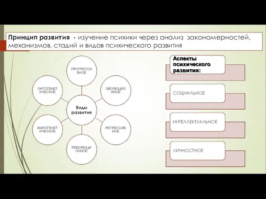 Принцип развития - изучение психики через анализ закономерностей, механизмов, стадий и видов психического развития