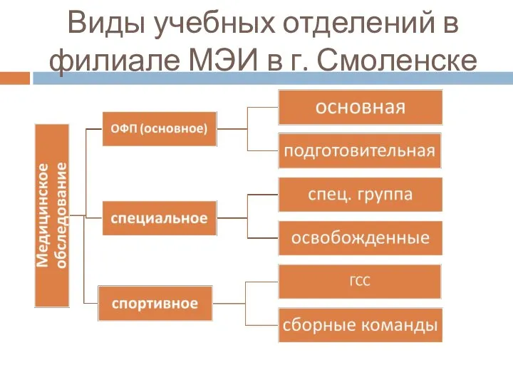 Виды учебных отделений в филиале МЭИ в г. Смоленске