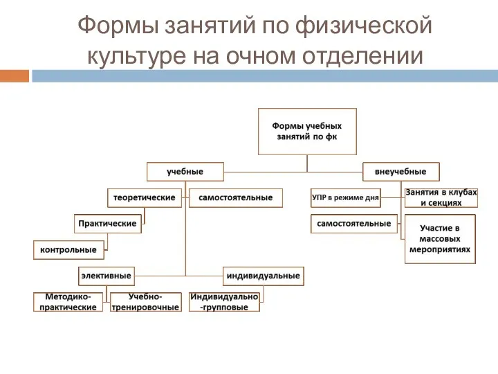 Формы занятий по физической культуре на очном отделении