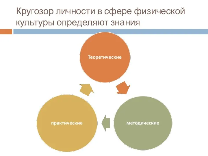 Кругозор личности в сфере физической культуры определяют знания