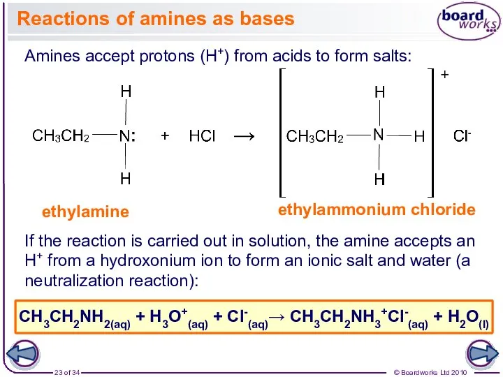 Reactions of amines as bases Amines accept protons (H+) from acids