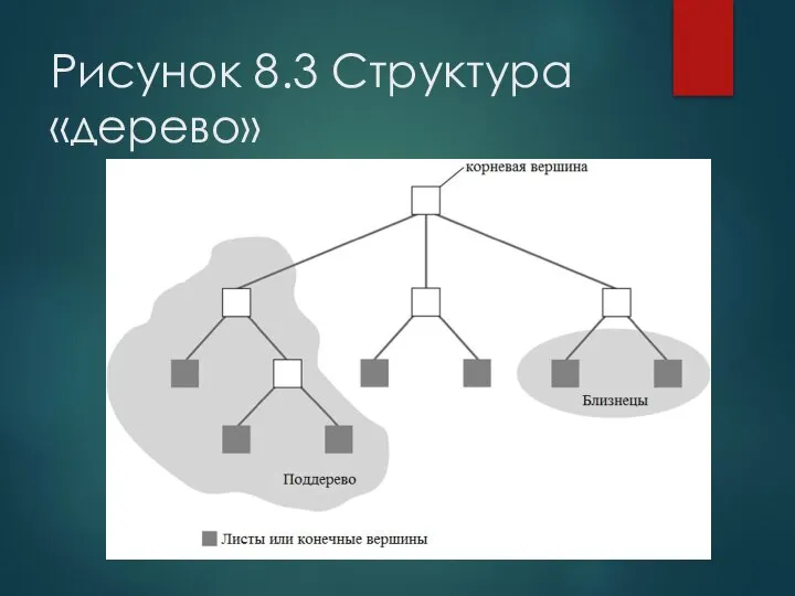 Рисунок 8.3 Структура «дерево»