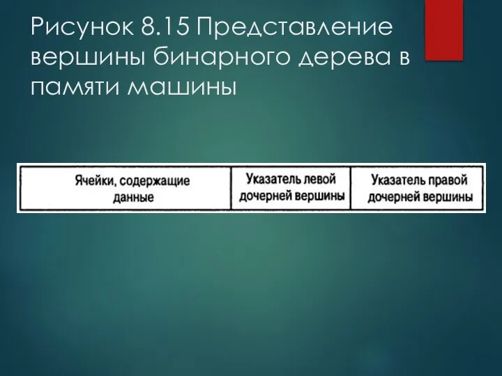 Рисунок 8.15 Представление вершины бинарного дерева в памяти машины