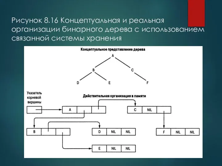 Рисунок 8.16 Концептуальная и реальная организации бинарного дерева с использованием связанной системы хранения