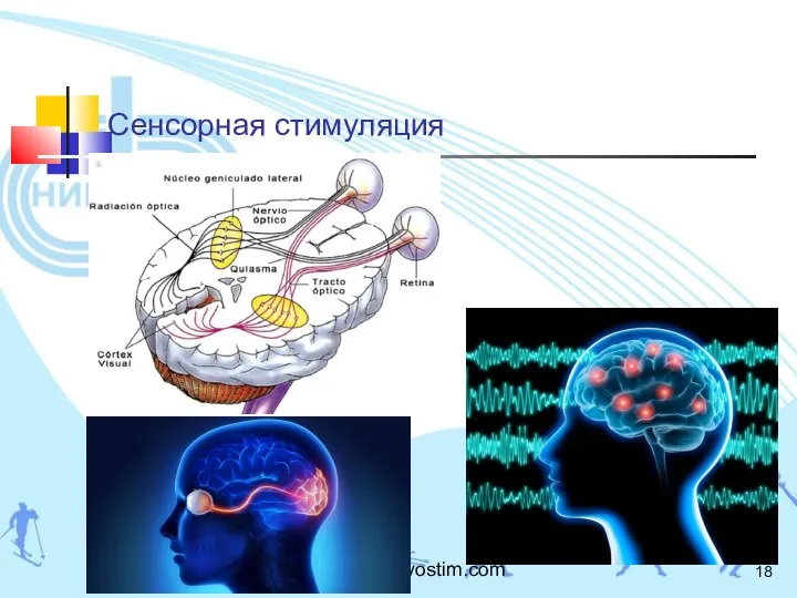 Сенсорная стимуляция www.lingvostim.com