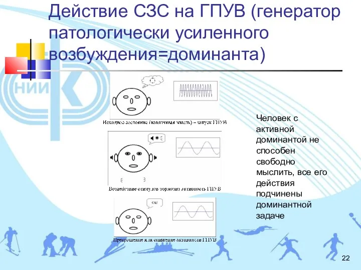 Действие СЗС на ГПУВ (генератор патологически усиленного возбуждения=доминанта) Человек с активной