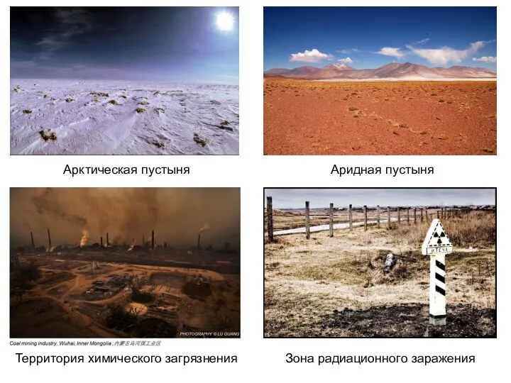 Арктическая пустыня Аридная пустыня Территория химического загрязнения Зона радиационного заражения