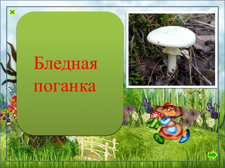 Ножка в форме цилиндра. Цвет такой же, как и у шляпки.