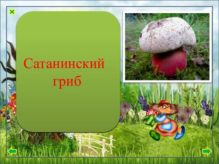 Кожица на шляпке бархатная, иногда гладкая на ощупь, сухая. Цвет варьируется