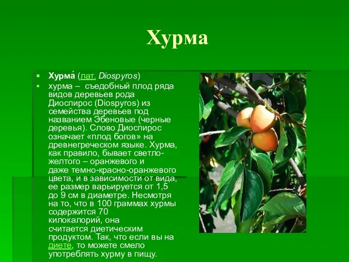 Хурма Хурма́ (лат. Diospyros) хурма – съедобный плод ряда видов деревьев