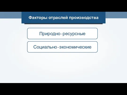 Факторы отраслей производства Природно-ресурсные Социально-экономические