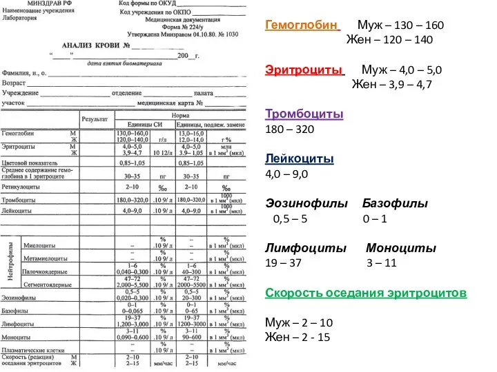 Гемоглобин Муж – 130 – 160 Жен – 120 – 140