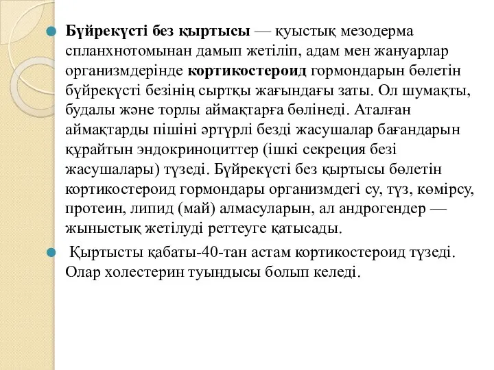 Бүйрекүсті без қыртысы — қуыстық мезодерма спланхнотомынан дамып жетіліп, адам мен