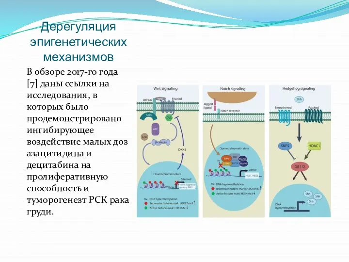 Дерегуляция эпигенетических механизмов В обзоре 2017-го года [7] даны ссылки на