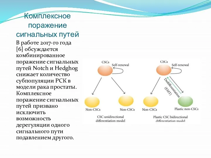 Комплексное поражение сигнальных путей В работе 2017-го года [6] обсуждается комбинированное