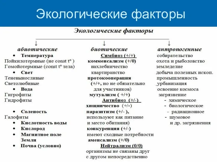 Экологические факторы